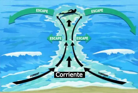 Cosas Que Te Salvaran Tu Vida (No Me Crees? Mira..