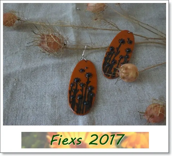 fiexs