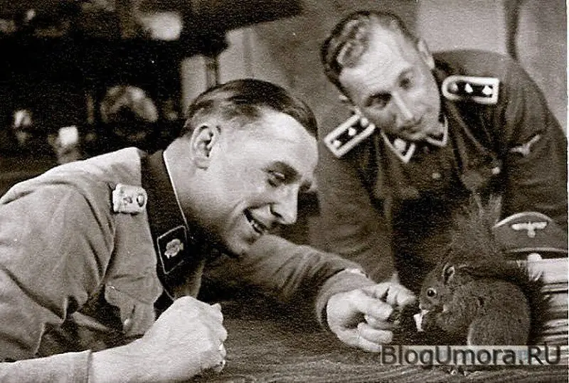 Queres  saber mas sobre la Waffen SS entra Lince!!!