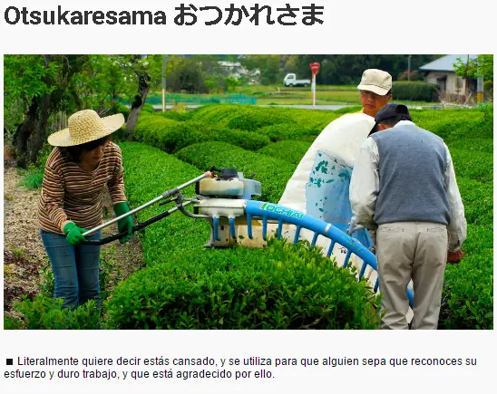 Japonesas