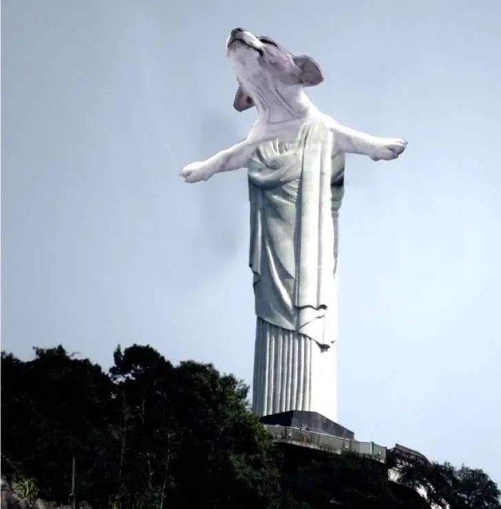 2016