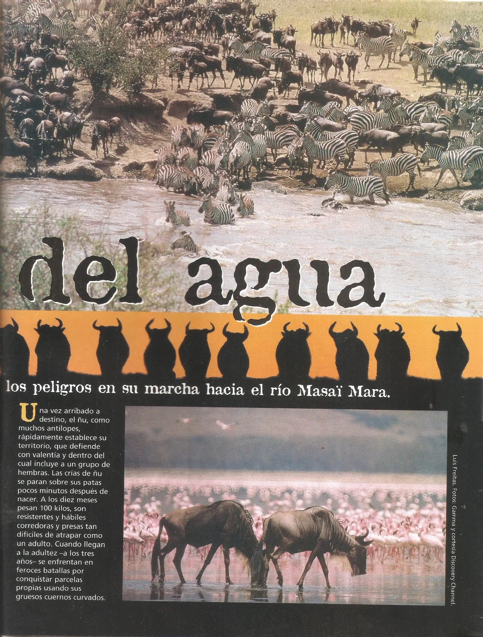 revista billiken