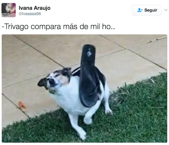 hoteles