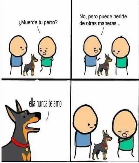 Imágenes de Humor para la Tarde