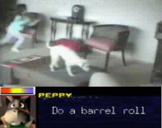 humor gifs