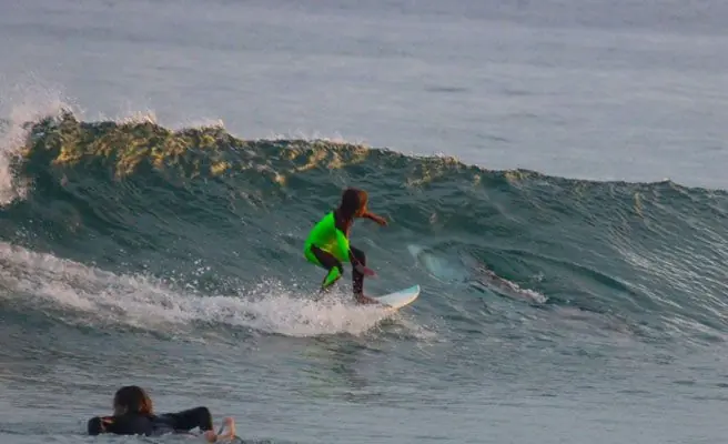 Niño de 10 años surfea cerca de un tiburón blanco en Sidney