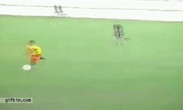 Gifs