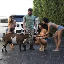 dinero