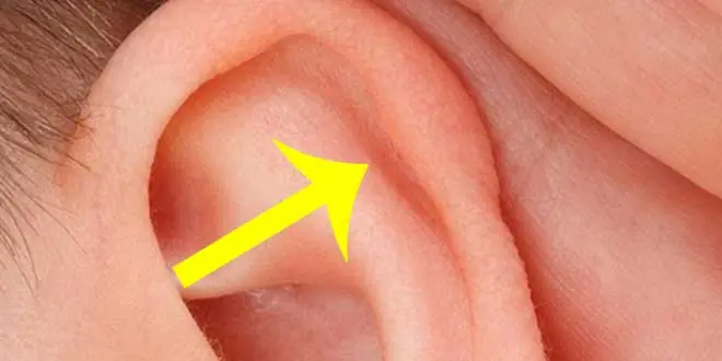 Lo que te sobra partes de tu cuerpo completamente inútiles