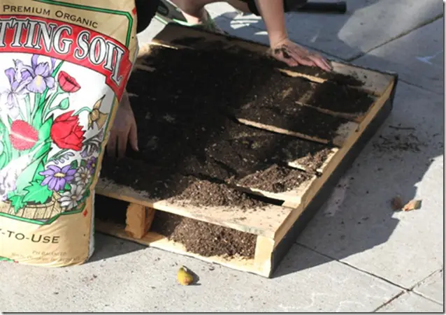 Ideas para tu jardin vertical