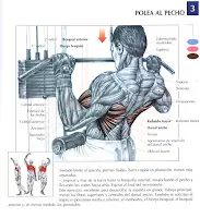 paraganar mas fuerza y volumen