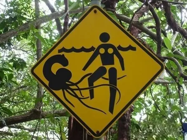 curiosidades