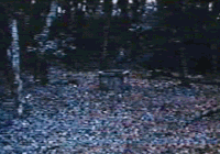 gifs graciosos