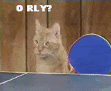 Gifs