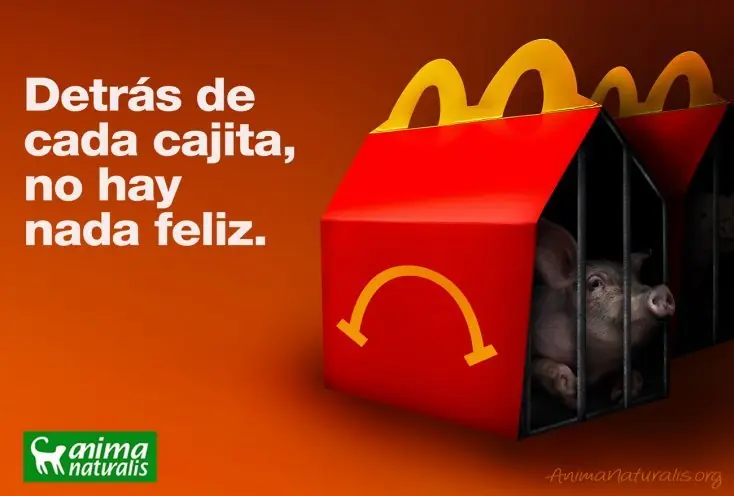 14 secretos que nunca te dirá un trabajador de McDonalds...
