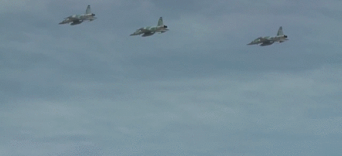 Fuerza Aerea:Chile,Argentina,Uruguay,Brasil... En Ejercicio