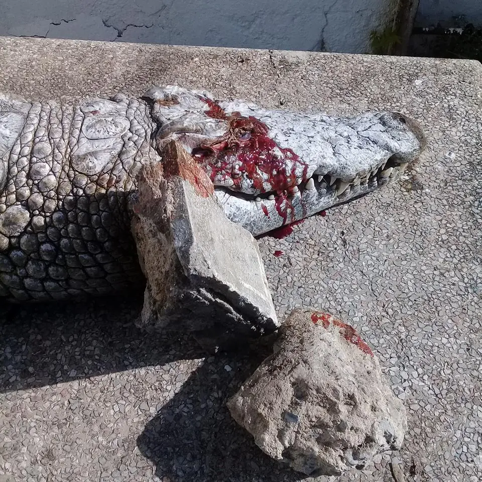 Visitantes de zoológico matan a cocodrilo a pedradas