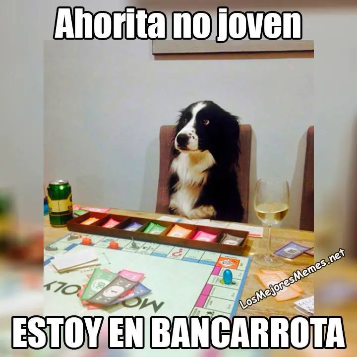 Recopilación de Memes (Parte V) +Yapa .-. Recopilación de Memes (Parte V) +Yapa .-.