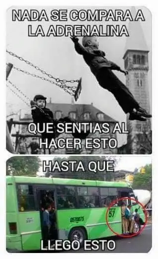 quinta quinta