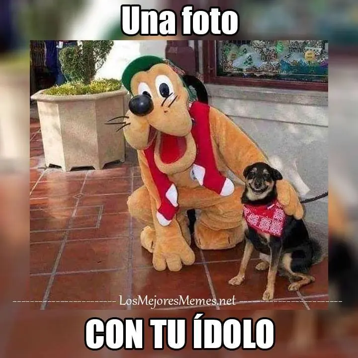 Cinco Cinco