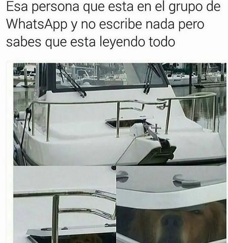 Humor mañanero para que levantes ese ánimo!
