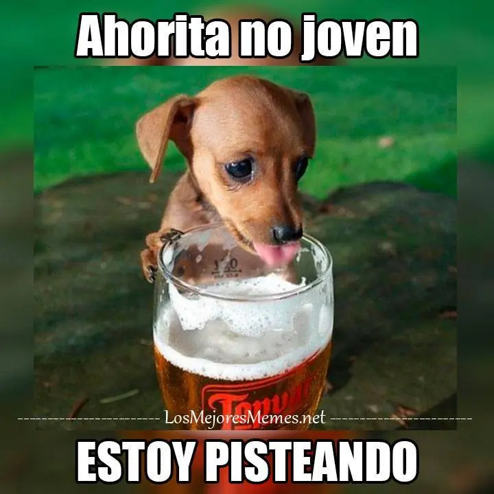 Facebook Facebook
