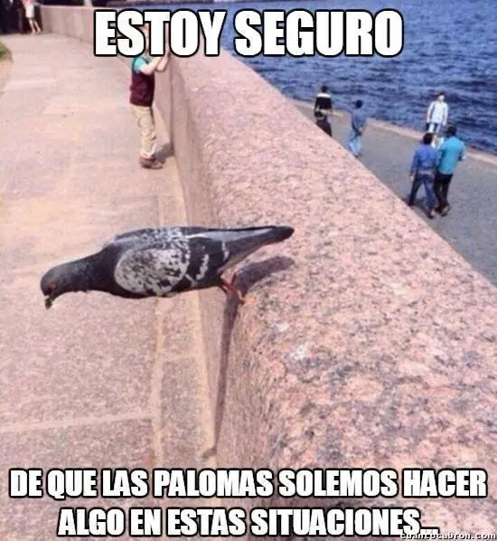 parte parte