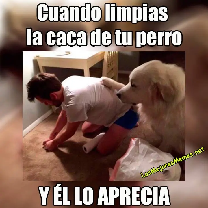parte parte