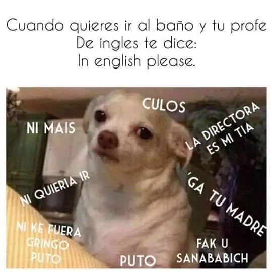 memes