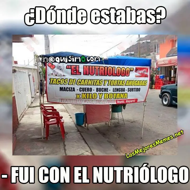 quinta quinta