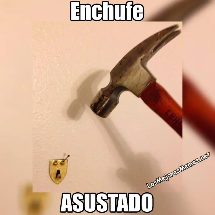 quinta quinta
