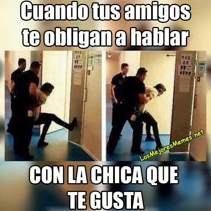 memes memes