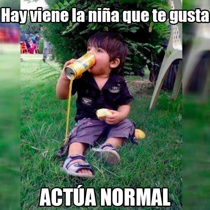 memes memes