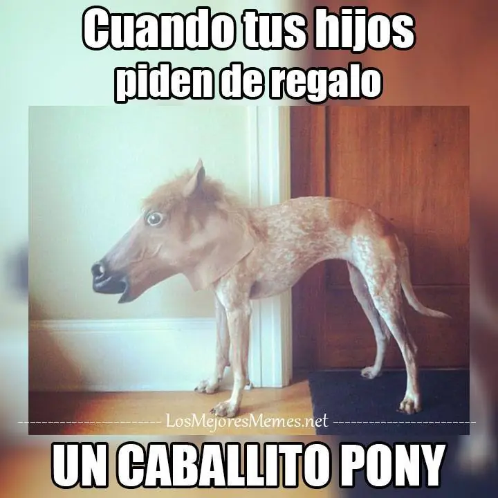 memes memes