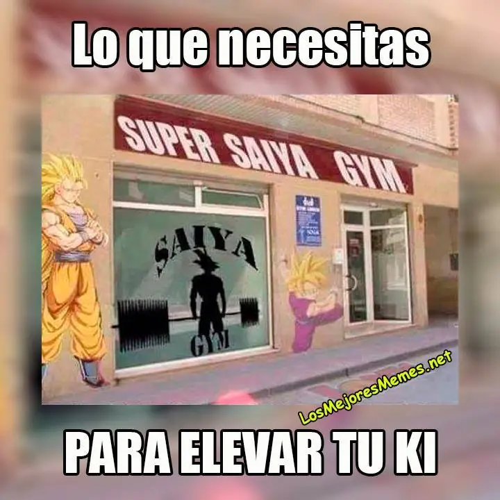 memes memes