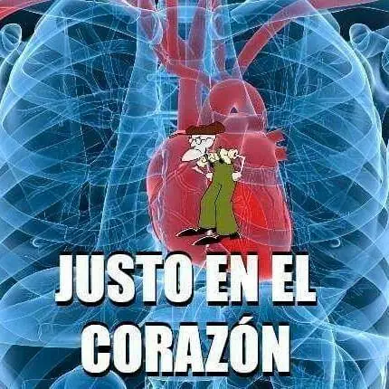 memes memes