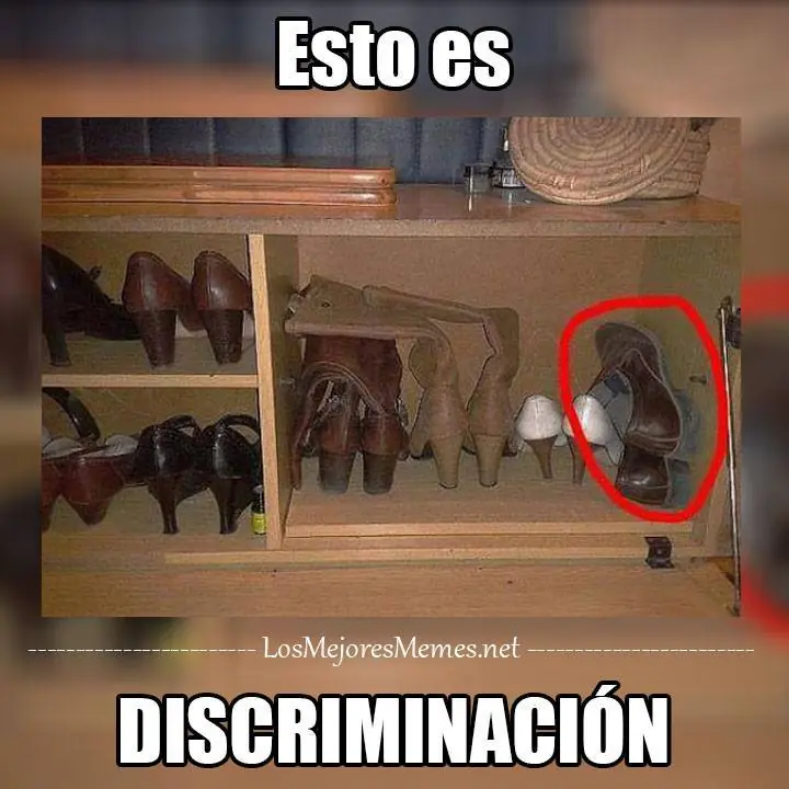 taringa taringa