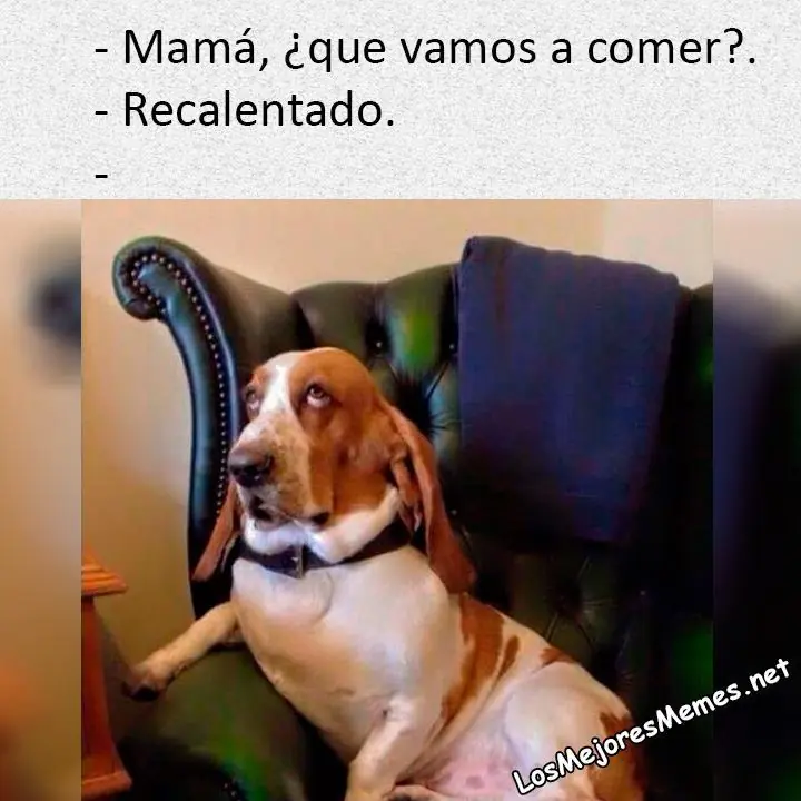 recopilacion recopilacion