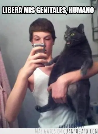 Humor mañanero para que levantes ese ánimo!