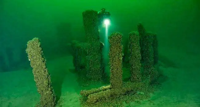 ¡Real! 12Cosas raras que no esperarías encontrar bajo el Mar