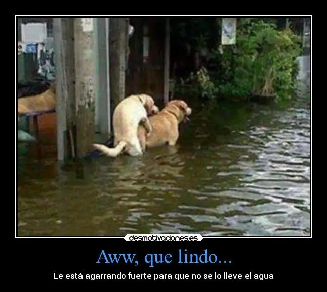 Humor malo y viejo, como mi abuelo 0.3