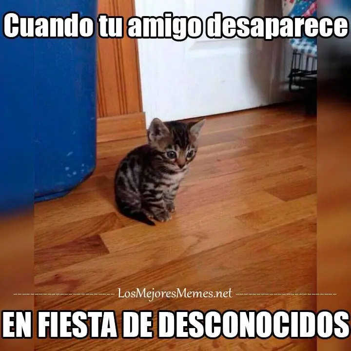 Recopilación de Memes (Parte V) +Yapa .-. Recopilación de Memes (Parte V) +Yapa .-.