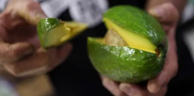 aguacate