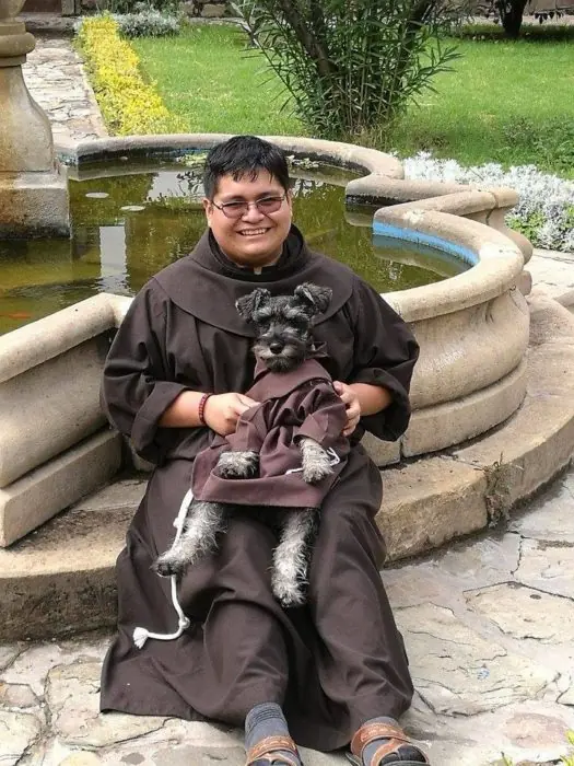 perrito
