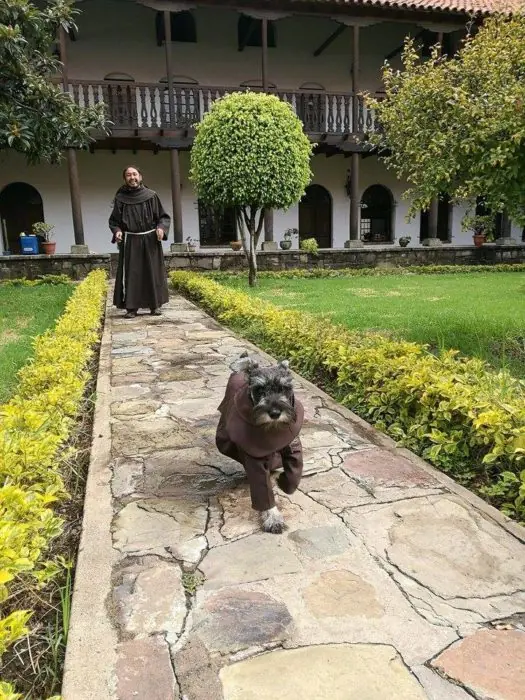 franciscano