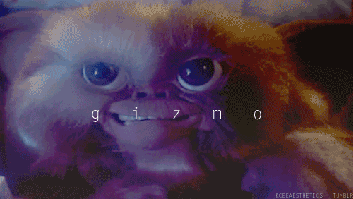 Gizmo, yo te banco!