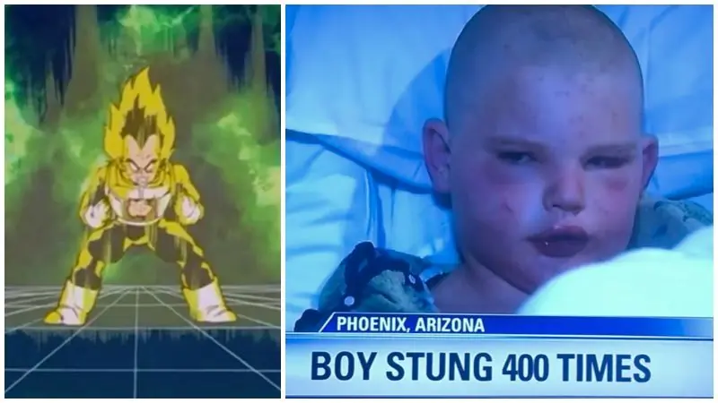 Vegeta