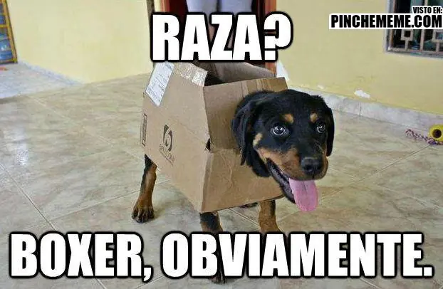si te ries