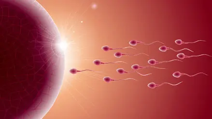 Donó su esperma y ahora le exigen pagar la pensión