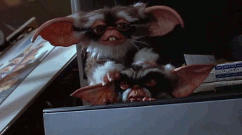 Gizmo, yo te banco!